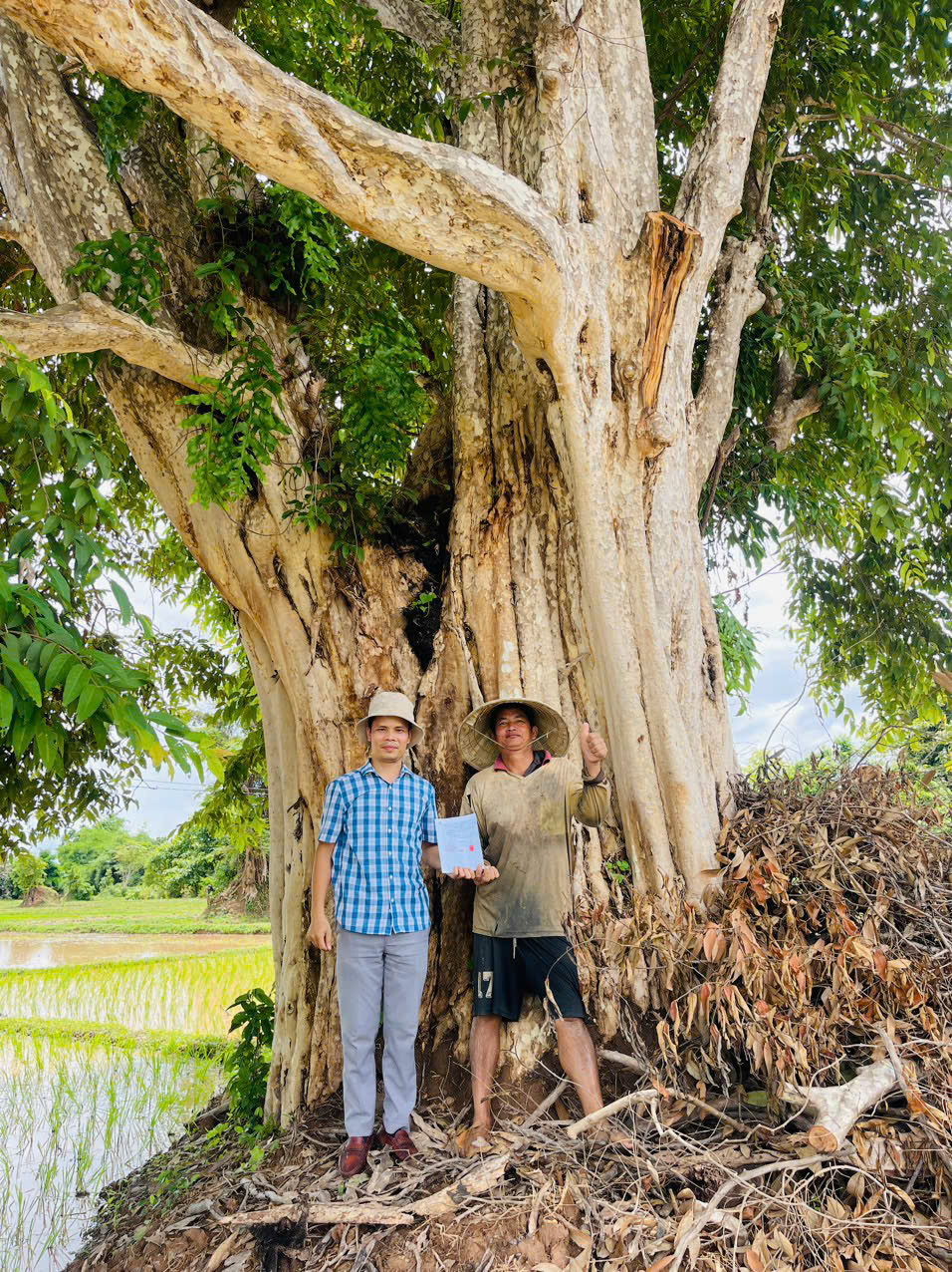 BONSAI-CÂY CẢNH